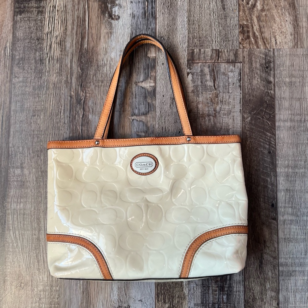 COACH Y2K mini tote